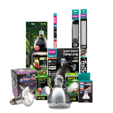 Verlichting & Armaturen