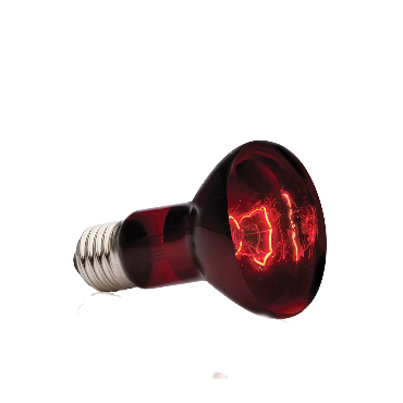 Reptielen infrarood warmte e27 lampen lamp geen s... – Vicedeal