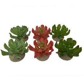 Echeveria Small, Kunstplant 