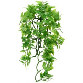 Zoo Med - Mexican Phyllo - Terramania.nl