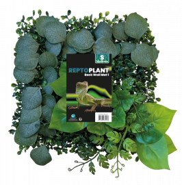 Repto Plant BackWall 1, 25 x 25 cn, 8715897339578, R5100005