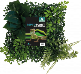 Plant BackWall 2, 25 x 25 cm