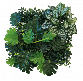 Repto Plant BackWall 3, 25 x 25 cm, 8715897339592, R5100015