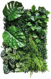 Plant BackWall 2, 40 x 60 cm