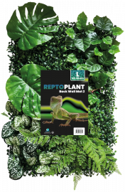 Plant BackWall 2, 40 x 60 cm