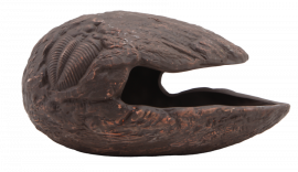 Repto Deco Cocoon Brown Large, 8715897346422, R5100320