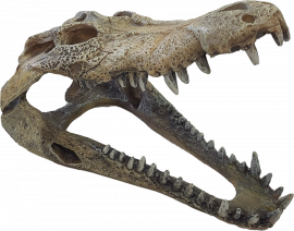 Repto Deco Crocodile Large, 8715897351228, R5100360