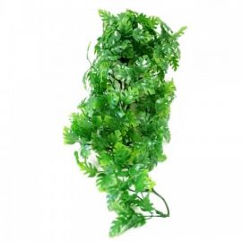 Zoo Med - Amazonian Phillo - Terramania.nl