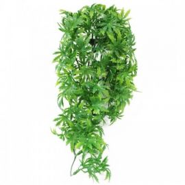 Zoo Med - Canabis - Terramania.nl