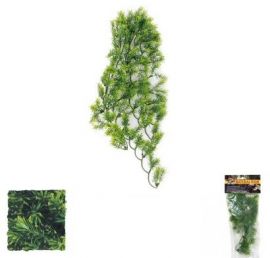 Zoo Med - Borneo Star - Terramania.nl