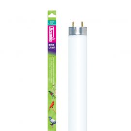 Vogellampen met UVB & daglicht kopen? Arcadia Vogellamp T8 UV lamp [120 cm / 36 Watt] | CFB36 | 830857000553