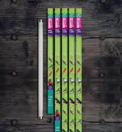 Vogellampen met UVB & daglicht kopen? Arcadia Vogellamp T8 UV lamp [120 cm / 36 Watt] | CFB36 | 830857000553