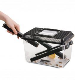 Eco-Terra Cricket Pen Large kopen? | PT2287 | 015561222877