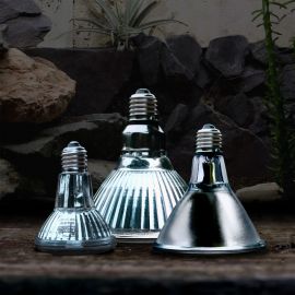 Warmtelamp nodig? Arcadia Halogen Basking Spot 75 Watt kopen? | RSHA75E27 | 844046003843