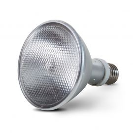 HID UV warmtelamp voor reptielen kopen? Mega-Ray HID Flood lamp 35W | 110035F | 4050644501070