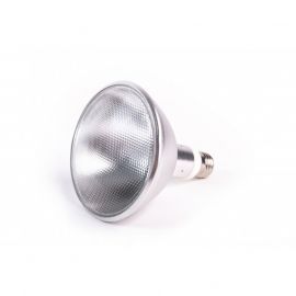 HID reptielenlamp kopen? Mega-Ray HID WIDE BEAM lamp 70W | 110070WB | 4050644501193