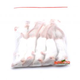 16-22 Gram, Middel Muis - 10 stuks