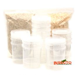 Fruitvliegen kweekset (15 potjes), 6095544856897