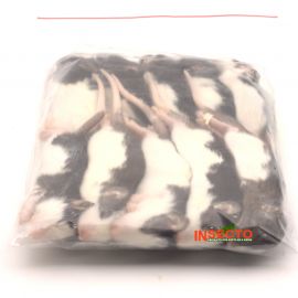 26-50 gram, Weaner rat - 10 stuks