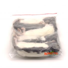 51-90 gram, Kleine rat - 5 stuks