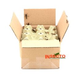 Starfood - Bulk Treksprinkhanen Klein - maat 4 (Locusta migratoria) | SL4B | 8717545215241