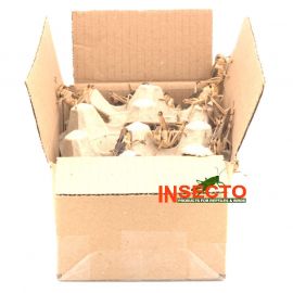 Starfood - Bulk Treksprinkhanen Volwassen - maat 8 (Locusta migratoria) | SL8B | 8717545215289