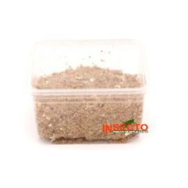 Starfood - Wasmotten met voedingsbodem (Galleria mellonella) | WASVD | 8717545210153