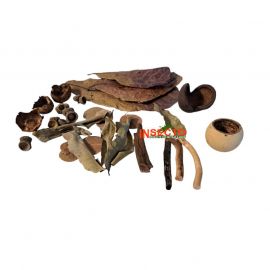 SuperFish Biotope Set Amazon, 8715897350030, A4080460