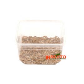 Meelwormen kopen? Geschikt als voedseldier voor o.a. reptielen, amfibieën, vogels, enz... | NMWD | 8717545219119