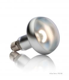 Exo-Terra Intense Basking Spot 150 Watt - Terramania.nl