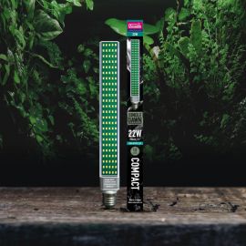 Arcadia - Jungle Dawn LED - Terramania.nl