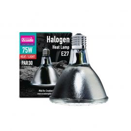 Warmtelamp nodig? Arcadia Halogen Basking Spot 75 Watt kopen? | RSHA75E27 | 844046003843