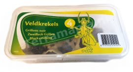 Veldkrekels (4), Klein, voedseldieren, 6095544398359