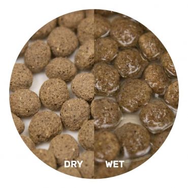 Hikari Dragon Delite 200 gram, 042055206211, 20621, A3020625