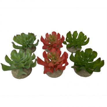 Echeveria Small, Kunstplant 