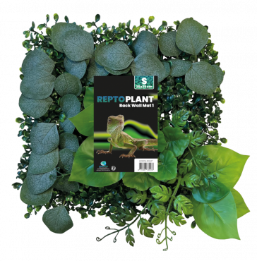 Repto Plant BackWall 1, 25 x 25 cn, 8715897339578, R5100005