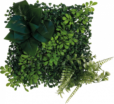 Plant BackWall 2, 25 x 25 cm