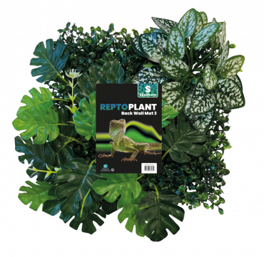 Repto Plant BackWall 3, 25 x 25 cm, 8715897339592, R5100015