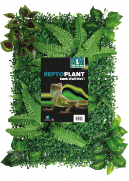 Repto Plant BackWall 1, 40 x 60 cm, R5100020, 8715897339608