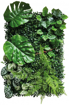 Plant BackWall 2, 40 x 60 cm