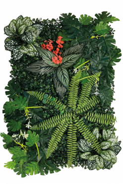 Plant BackWall 3, 40 x 60 cm, R5100030, 8715897339622