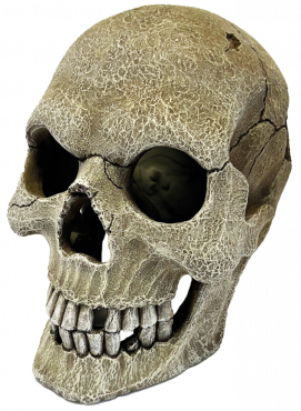 Repto Human Skull XL, R5100160, 8715897339882