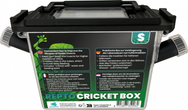 Repto Cricket Box Small, 21 x 9 x 15 cm, 8715897350962, R1100245