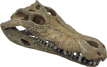 Repto Deco Crocodile Large, 8715897351228, R5100360