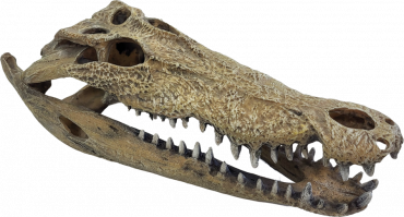 Repto Deco Crocodile XXL, 8715897351235, R5100365