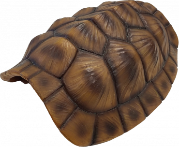 Repto Deco Tortoise Cave XL, 8715897351259, R5100375