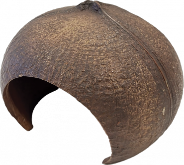 Repto Coconut 15x14x11cm, 8715897351266, R5100380