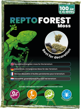 Forest Moss, 100 gram