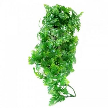 Zoo Med - Amazonian Phillo - Terramania.nl