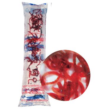 Levende Rode muggenlarven - groot [100 ml] kopen? | 0011 | 8717344710114